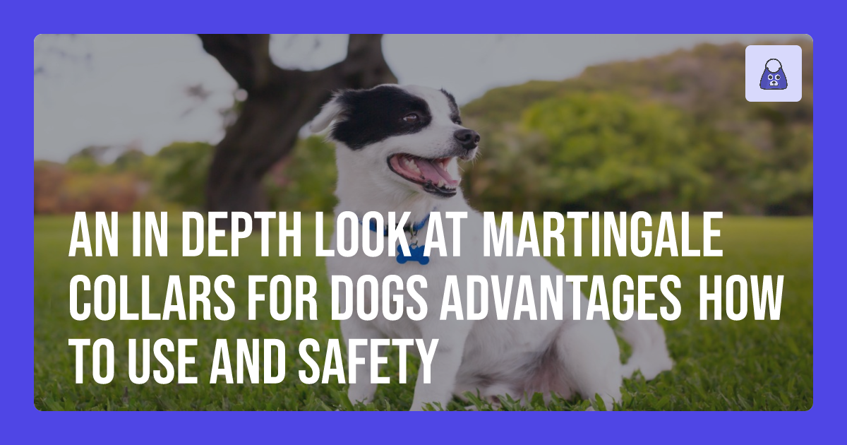 An InDepth Look at Martingale Collars for Dogs Advantages, How to Use