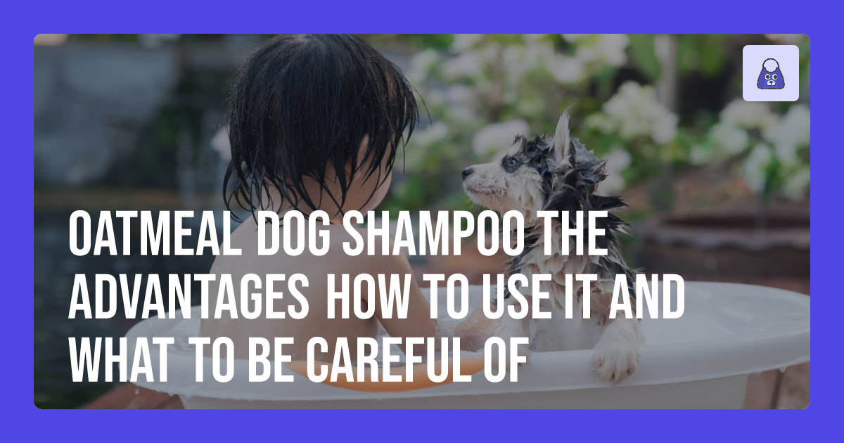 Oatmeal Dog Shampoo: The Advantages, How to Use it, and What to Be ...