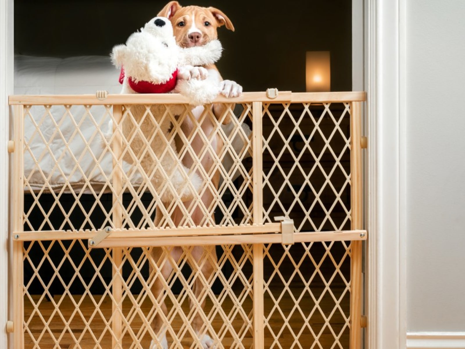 The Ultimate Guide to the Best Dog Gates and Play Pens for Your Home