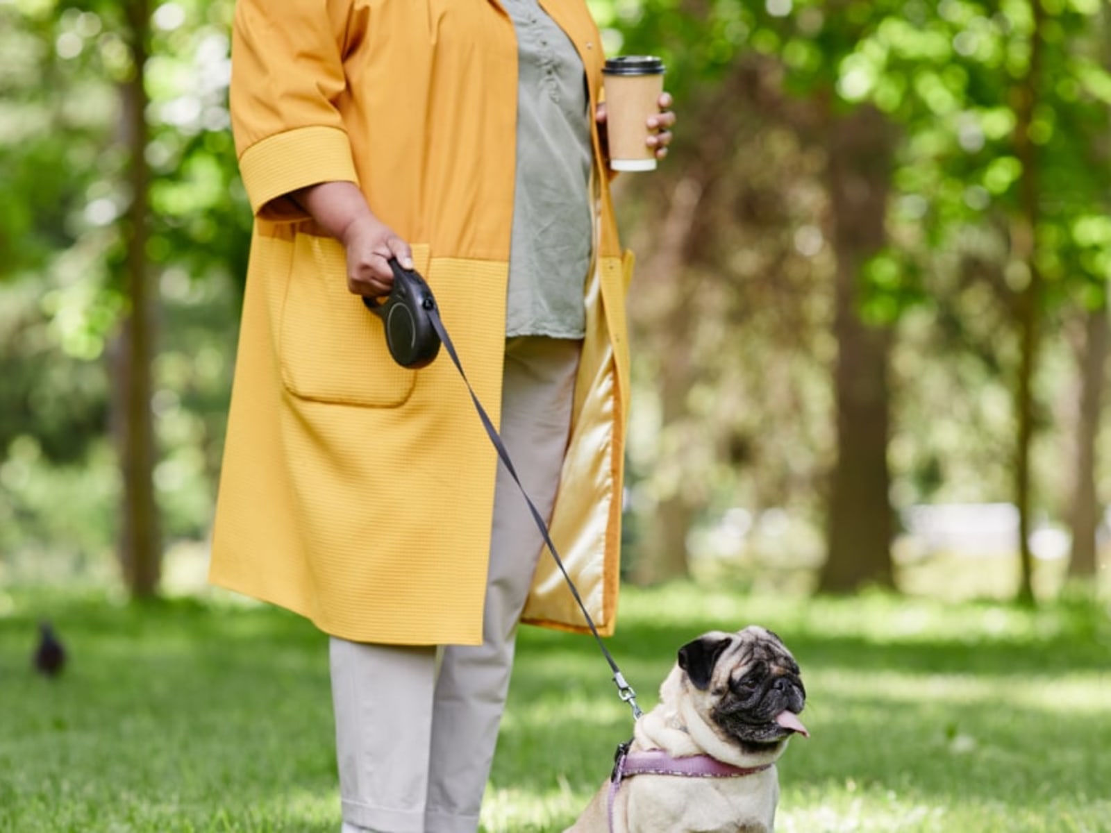 Best Retractable Dog Leashes Ratings and Reviews