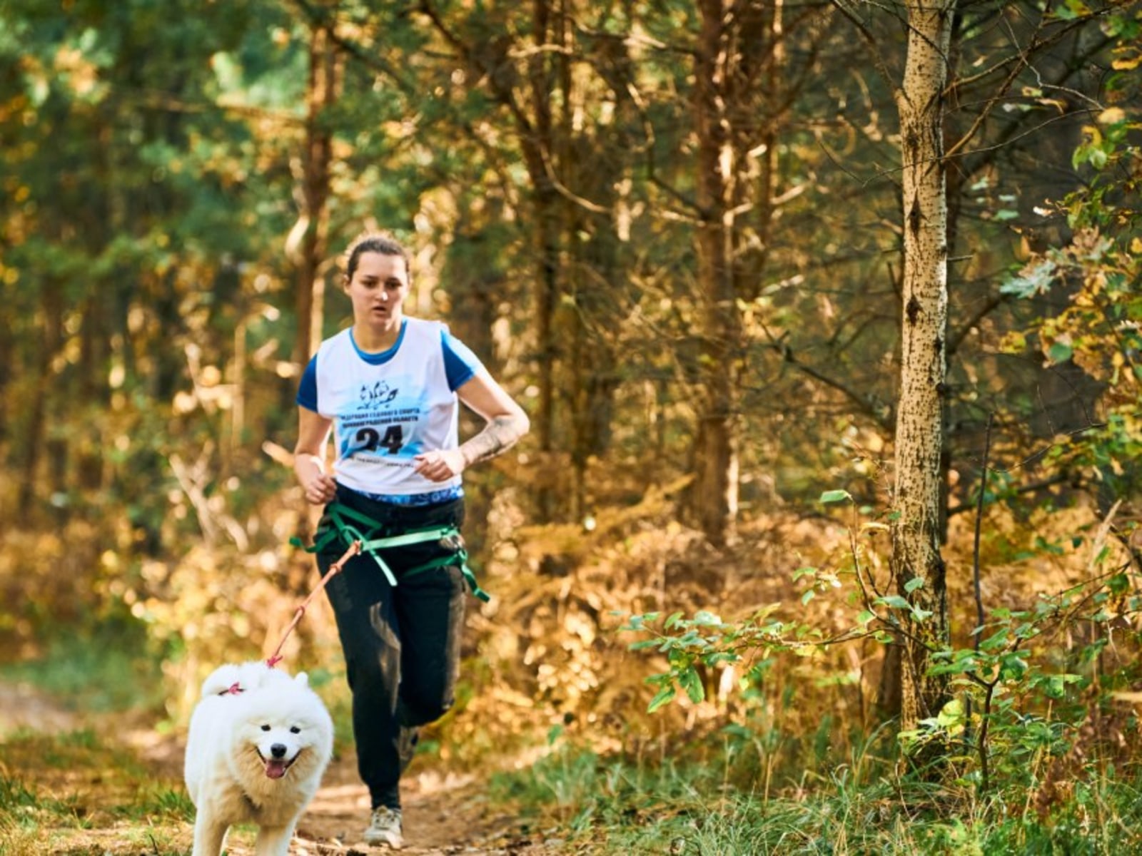 Canicross Guide: Hands Free Leashes, Training, and Safety Tips