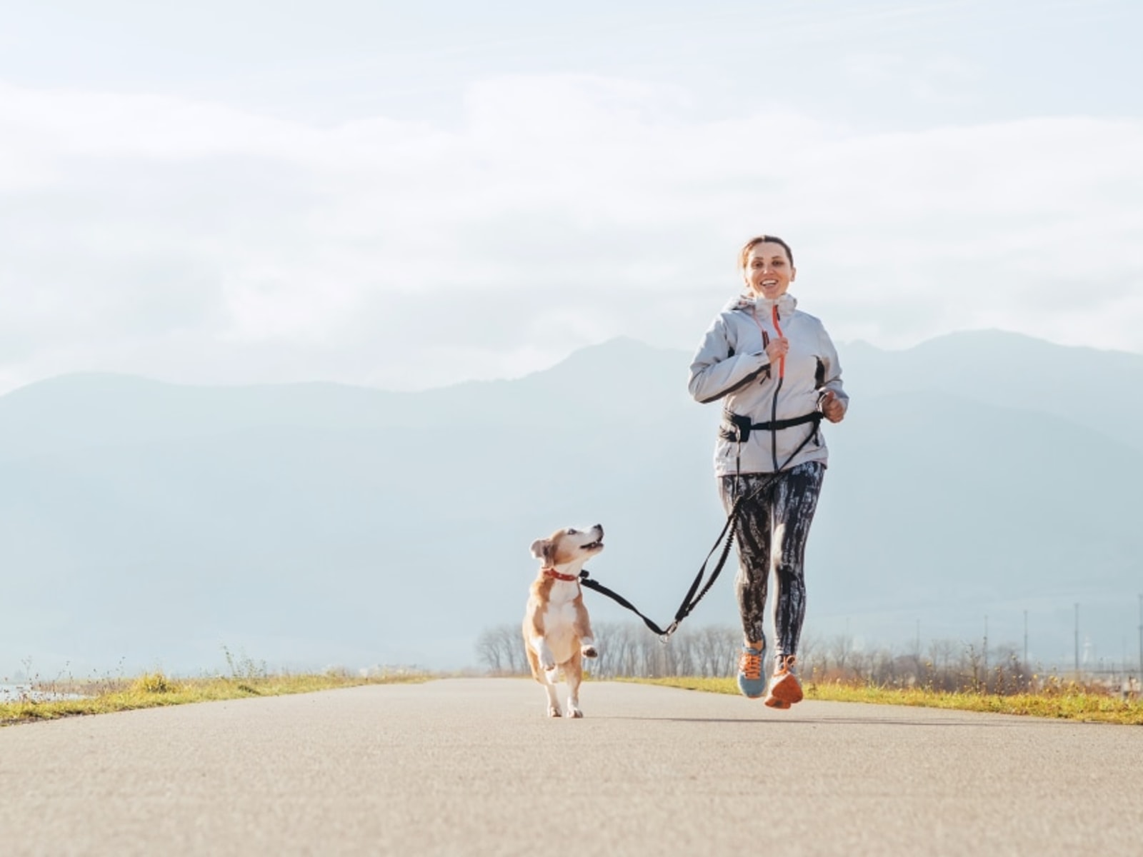 Exploring the Pros and Cons of Hands-Free Dog Leashes