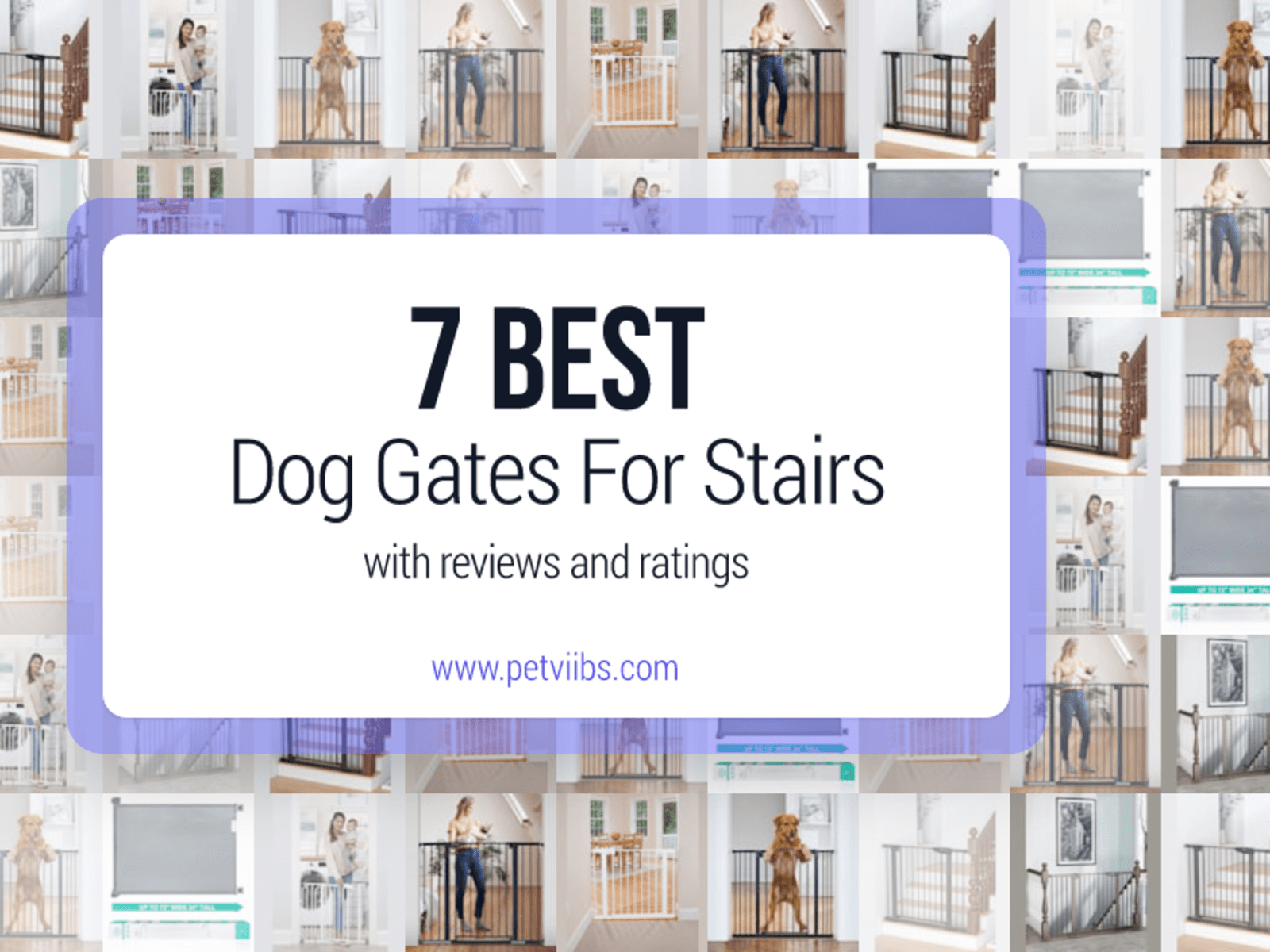 Best Dog Gates For Stairs Ratings and Reviews