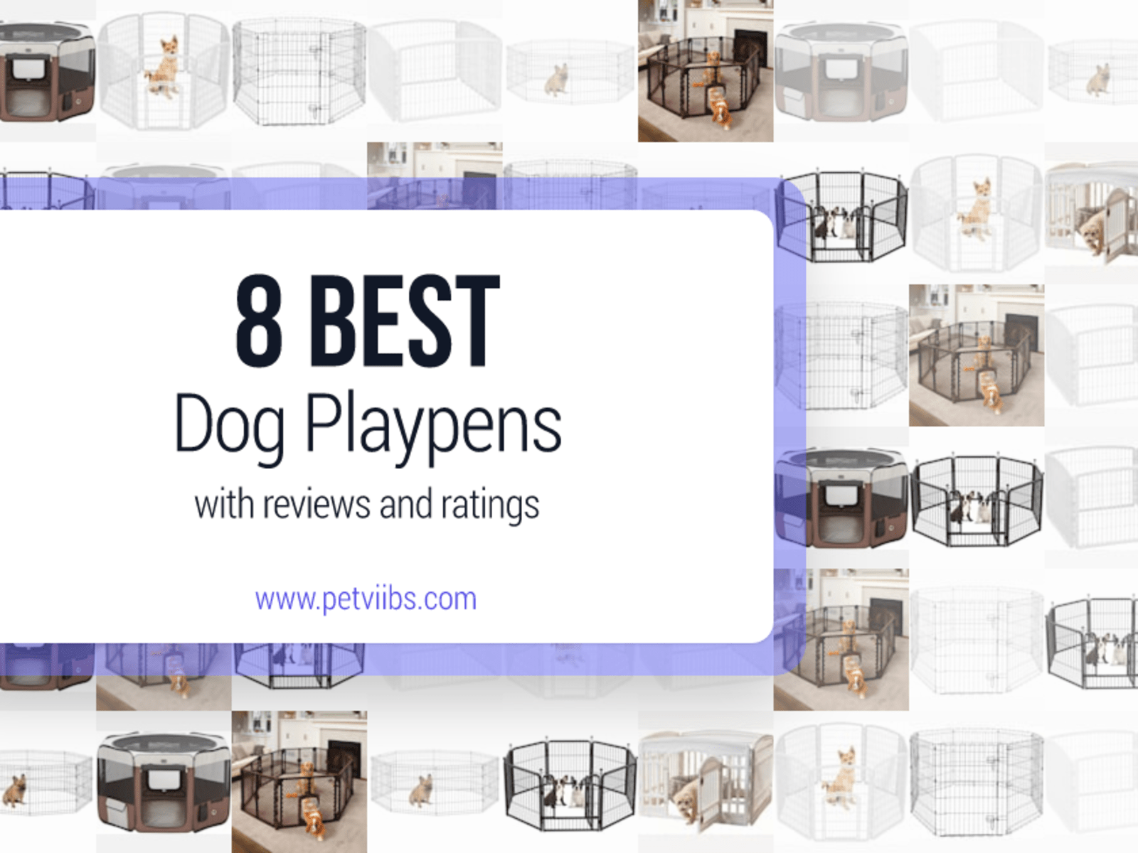 Best Dog Playpens Ratings and Reviews