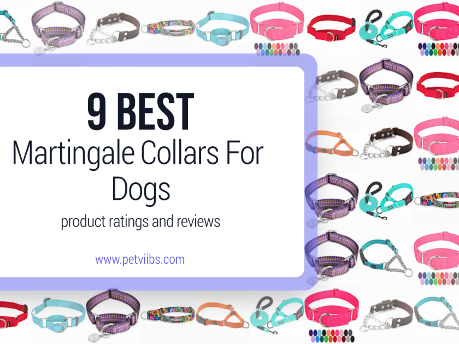 Best Martingale Collars For Dogs Ratings and Reviews