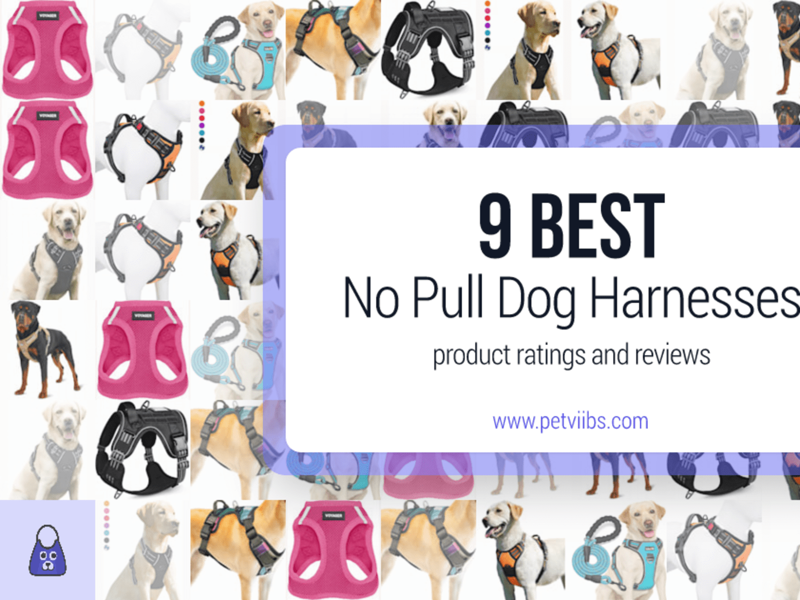 Best No Pull Dog Harnesses Ratings and Reviews