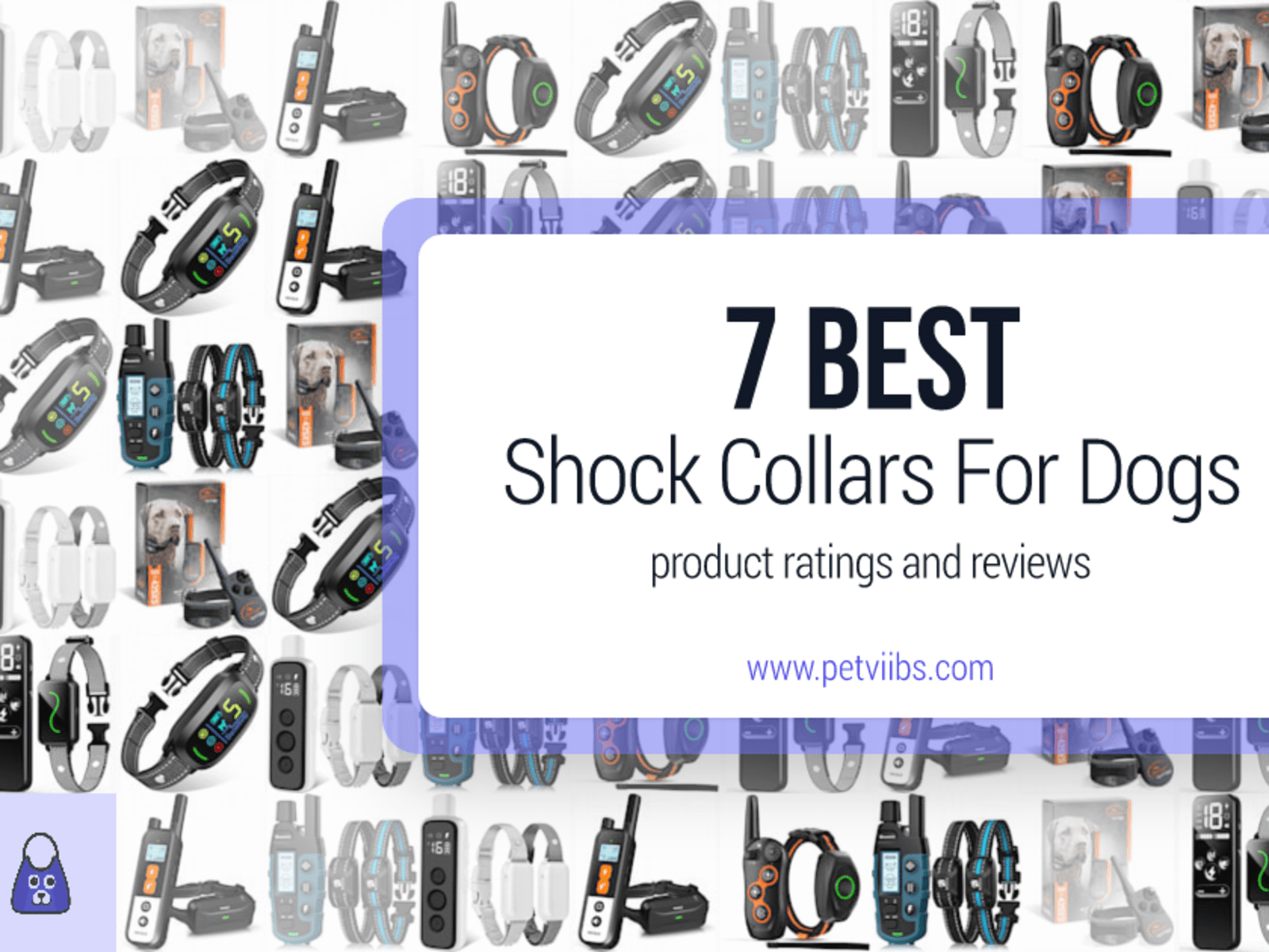 Best Shock Collars For Dogs Ratings and Reviews
