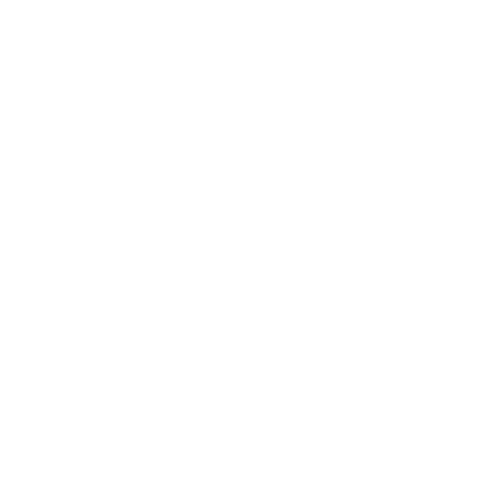 TPN Logo