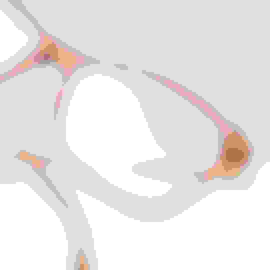 ratgeber-image-glasveredelungen