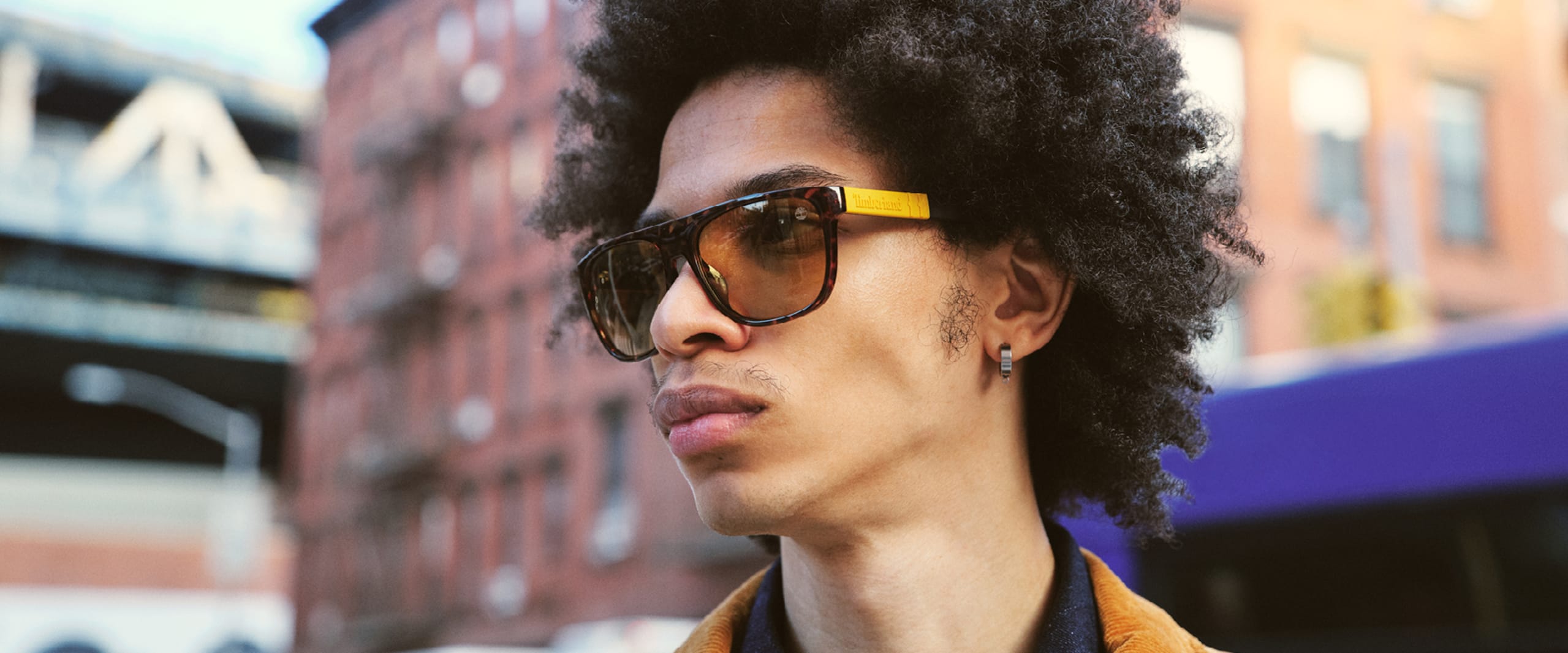 Gafas de sol Timberland en Mister Spex