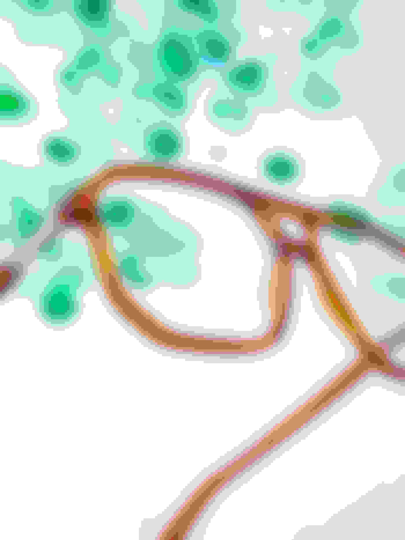 Entdecke deine Vorteile