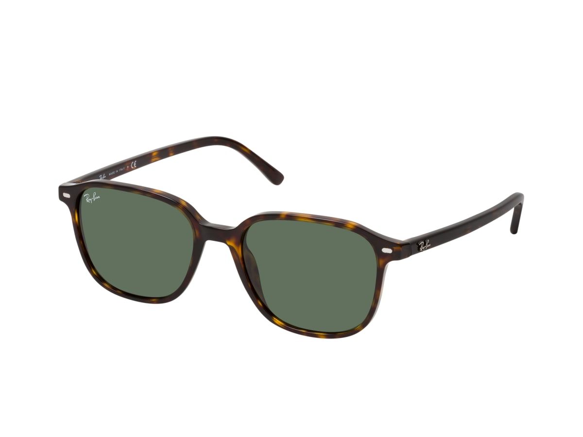 ray ban 2193