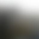 David's blurred avatar