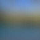 William Travis's blurred avatar