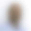 L'avatar sfocato di François