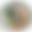 El avatar borroso de Nad