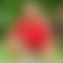 Michaël's blurred avatar