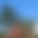 ALCEU JOSE BELINOSKI JAGAS's blurred avatar