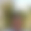 Andi's blurred avatar