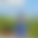 Paul's blurred avatar