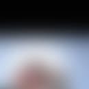 Steve et Jean-Marc's blurred avatar