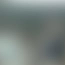 Romulo's blurred avatar