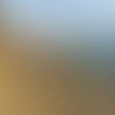 Catherine's blurred avatar