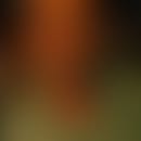 Pascal's blurred avatar