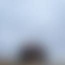 Aaron's blurred avatar