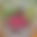 Sams verschwommener Avatar