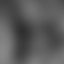 Mauro e Paolo's blurred avatar