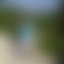 Cédric's blurred avatar