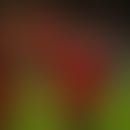 Noah's blurred avatar