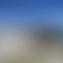 Marco's blurred avatar