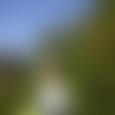 Brigitte's blurred avatar