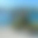 Juan david's blurred avatar