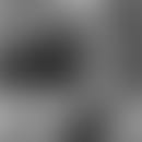 Lucas emanuel's blurred avatar
