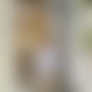 Terrence's blurred avatar