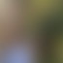 Melissa's blurred avatar