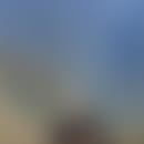 Anthony's blurred avatar