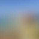 Ottavio's blurred avatar