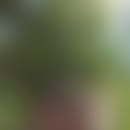 Fernando's blurred avatar