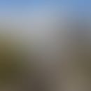 JULIA's blurred avatar