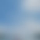 Kit's blurred avatar