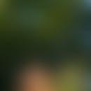 Neogis verschwommener Avatar