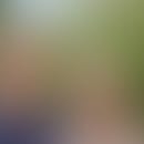 Charles's blurred avatar