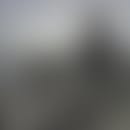 Anibal's blurred avatar