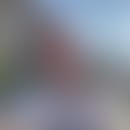 Gaetans verschwommener Avatar