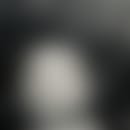Sylvain's blurred avatar