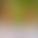 John & Michael's blurred avatar